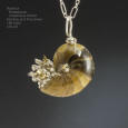 Nautilus and Sterling Silver Pendant